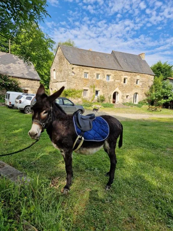 Manoir de Questinguy à Allineuc, photo 5