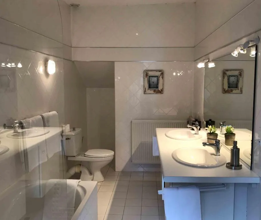 Manoir de Rieuzal à Loubressac, photo 3