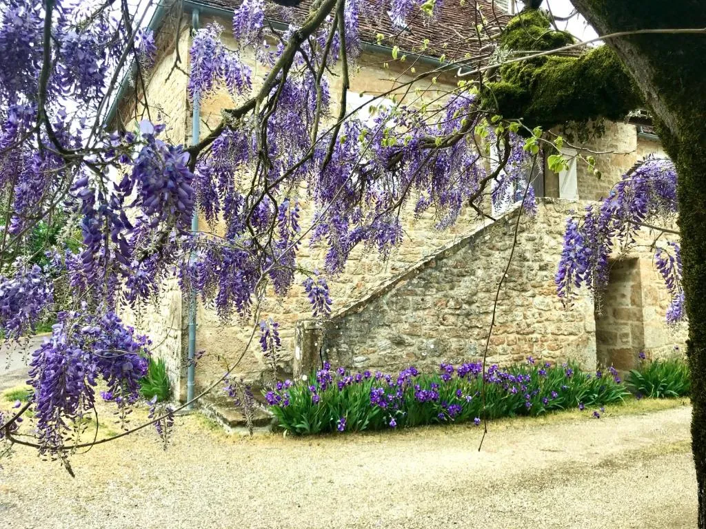 Manoir de Rieuzal à Loubressac, photo 7