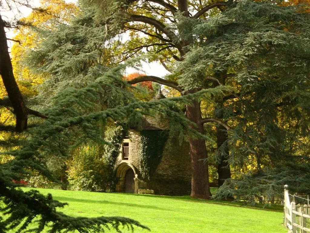 Manoir de Trégaray à Sixt-sur-Aff, photo 4
