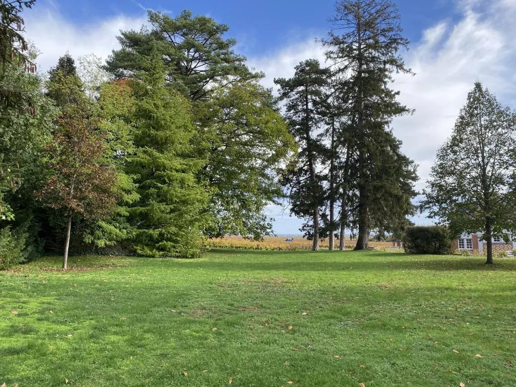 Manoir de Villamont à Savigny-lès-Beaune, photo 2