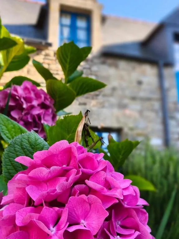 Manoir des Douets Fleuris à Cancale, photo 3