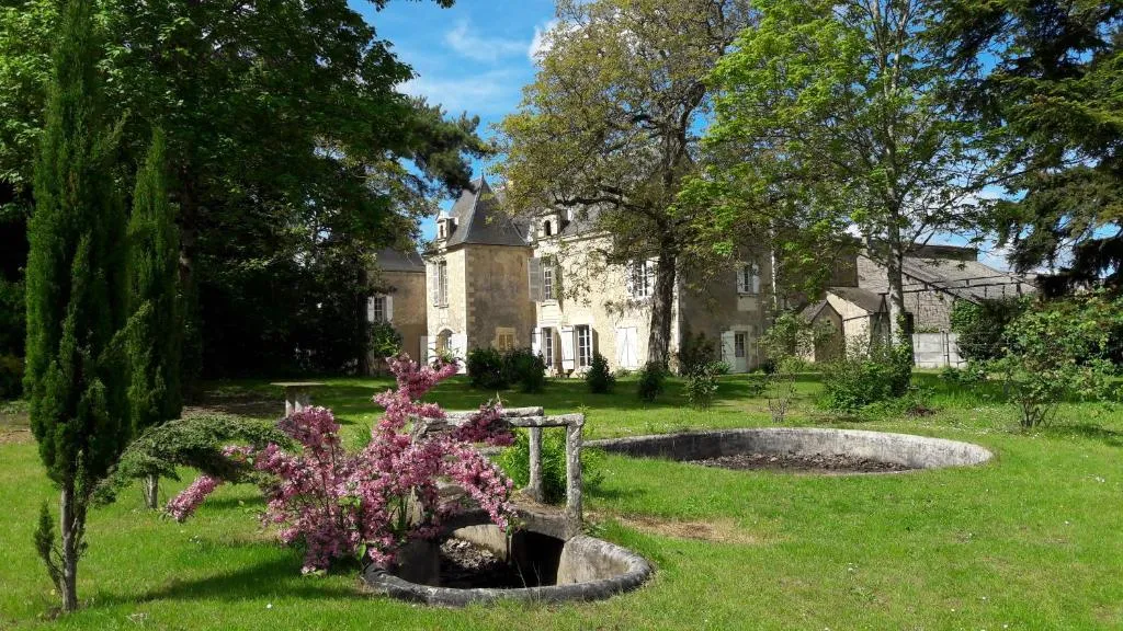 Manoir du Bellay à Montreuil-Bellay, photo 6