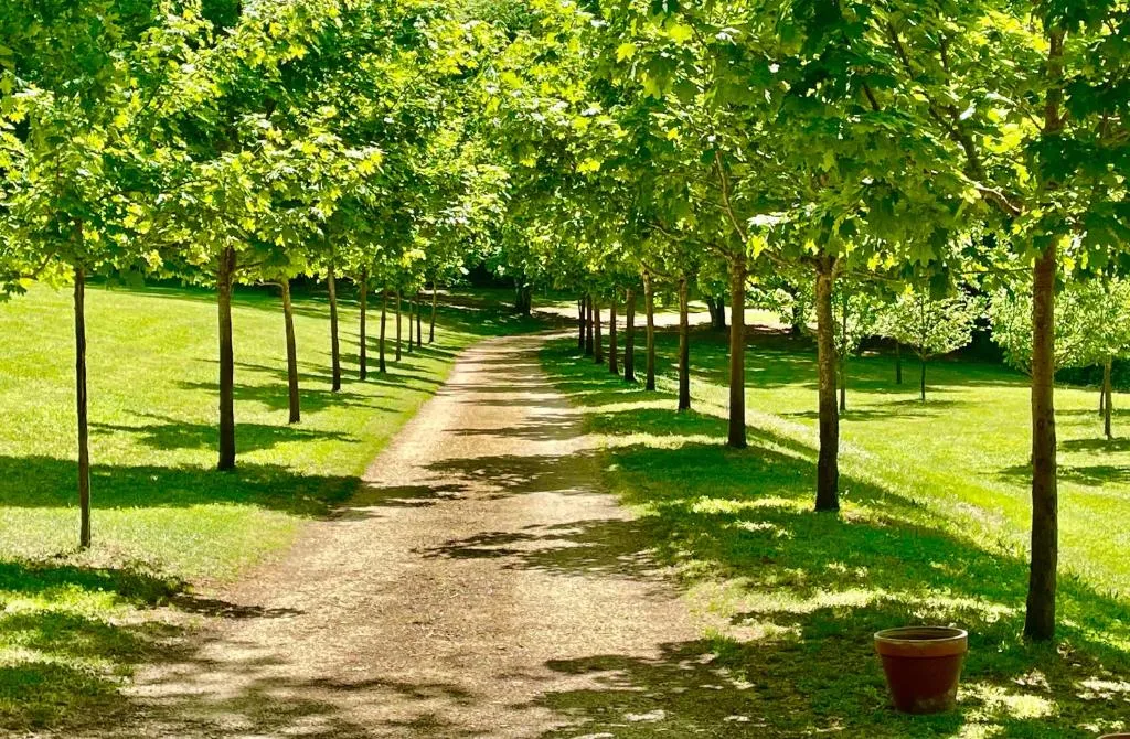 Le Manoir du Rocher à Domme, photo 5