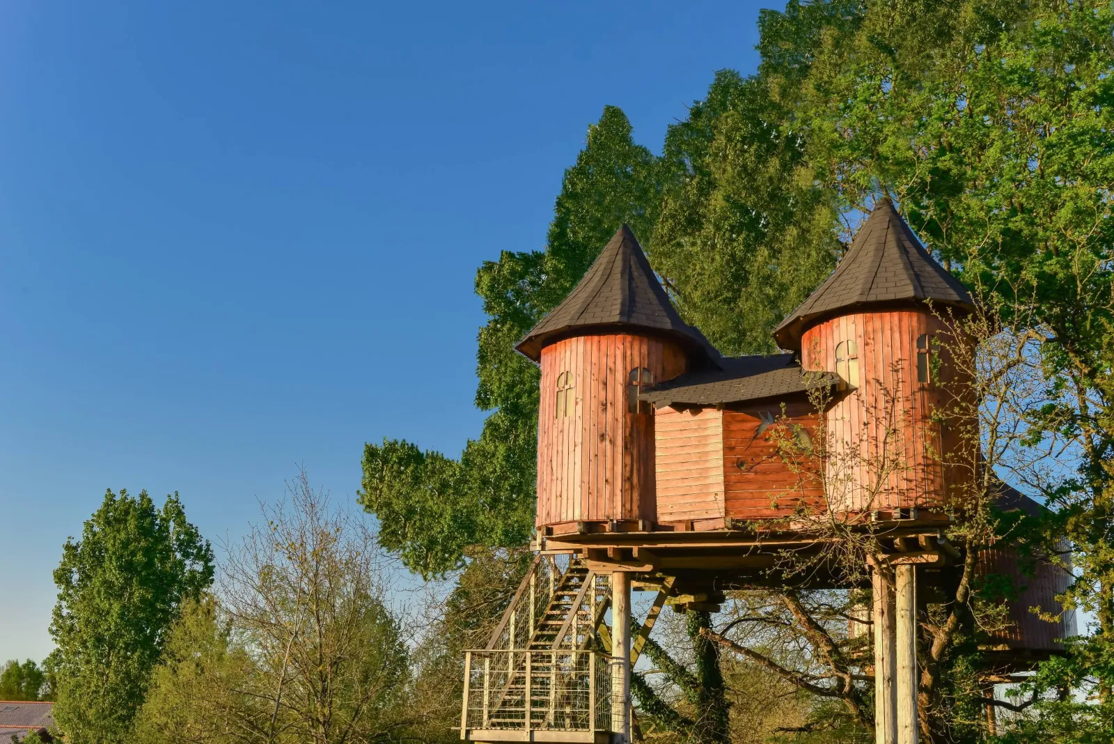 Petit château perché de Dienné, château dans les arbres à Dienné