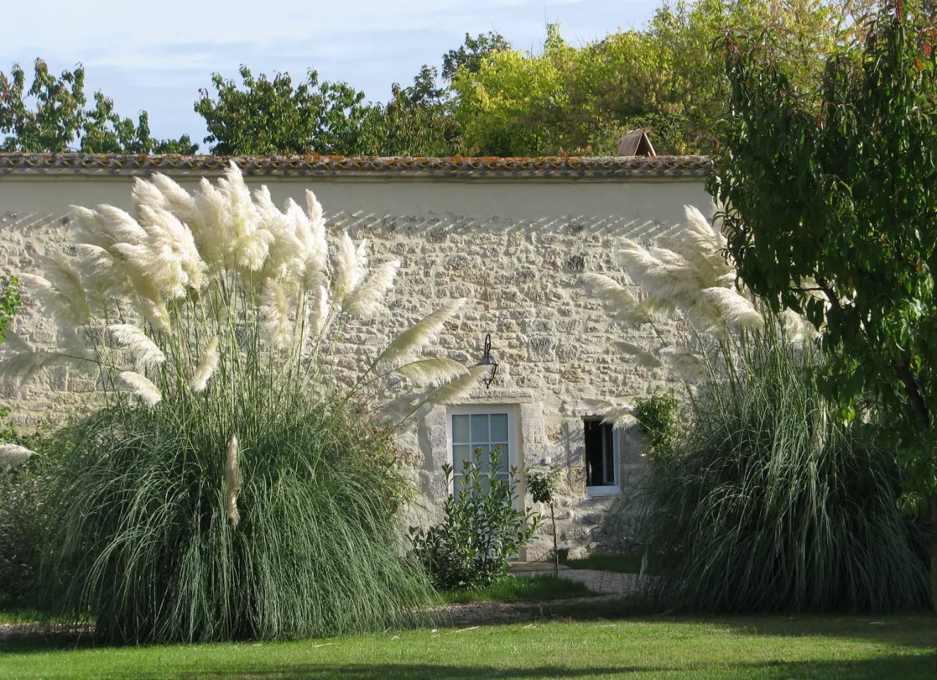 Suite Terre du Château Latour Ségur à Lussac, photo 2