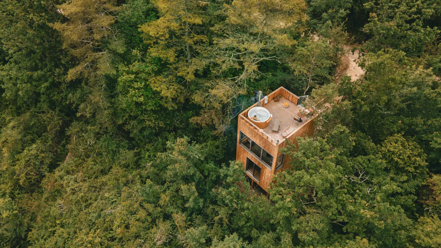 Suite Terre du Château Latour Ségur à Lussac, photo 3